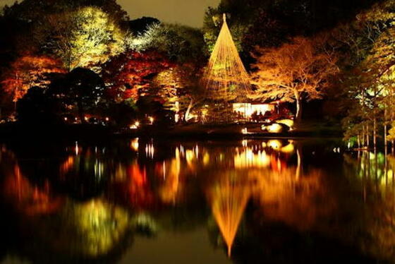 公園　六義園（公園）まで400m