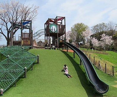 公園　桜が丘中央公園（公園）まで2015m