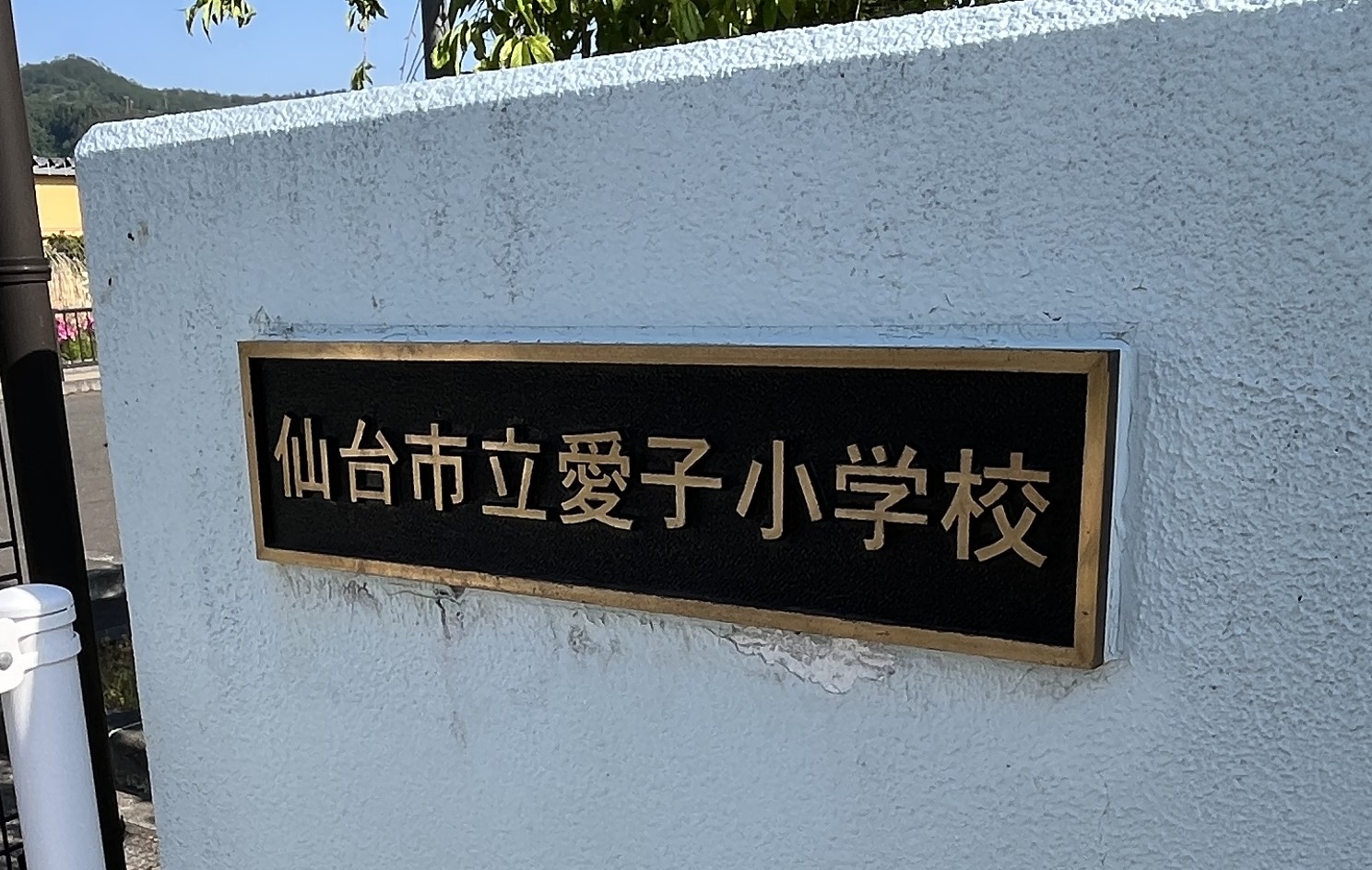 小学校　仙台市立愛子小学校（小学校）まで1252m