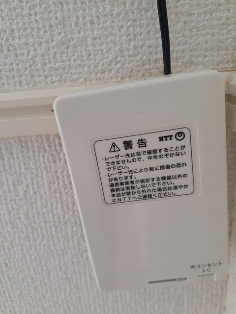 インプレス・桜のその他写真