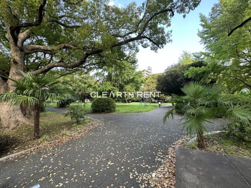 公園　神奈川公園（公園）まで501m