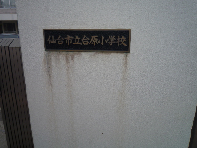 小学校　仙台市立台原小学校（小学校）まで635m