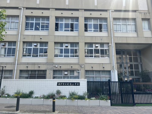 小学校　神戸市立成徳小学校（小学校）まで1104m