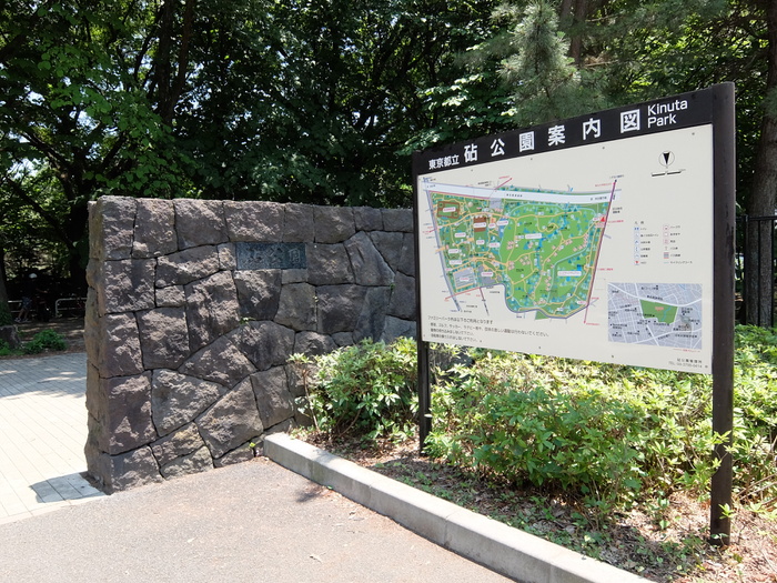 公園　砧公園（公園）まで615m