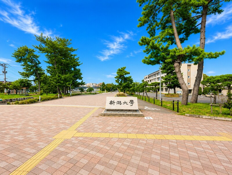 大学・短大　新潟大学　五十嵐キャンパス（大学・短大）まで550m