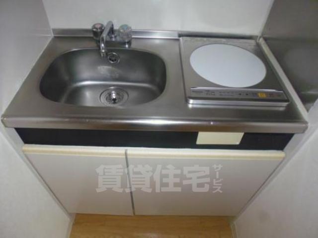 アンフィニィ橋の内3のキッチン写真