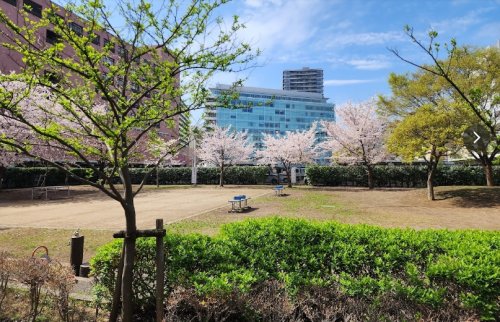 公園　蔵前公園（公園）まで260m