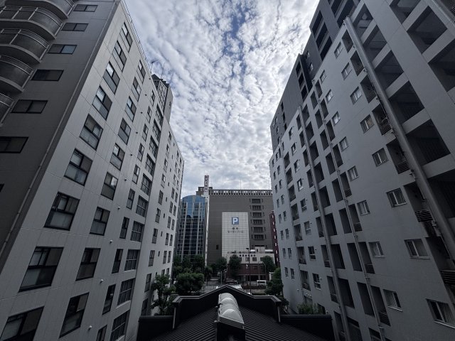 眺望