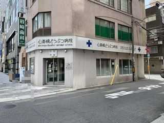 病院　心斎橋どうぶつ病院（病院）まで265m