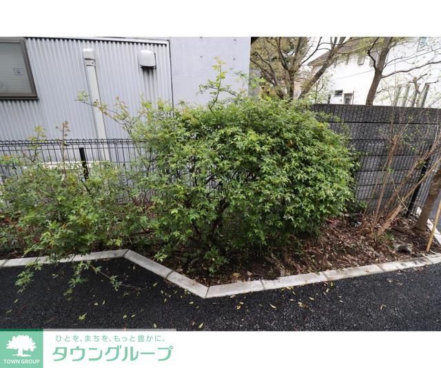 庭