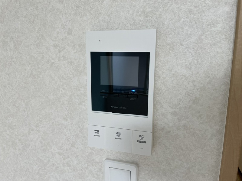 アカンサスのその他写真