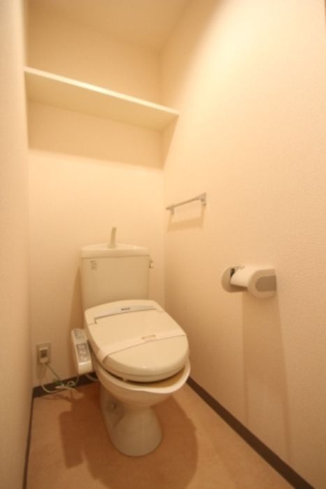 トイレ　トイレも気になるポイント