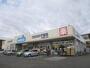 ドラックストア　ウエルシア四街道めいわ店（ドラッグストア）まで785m