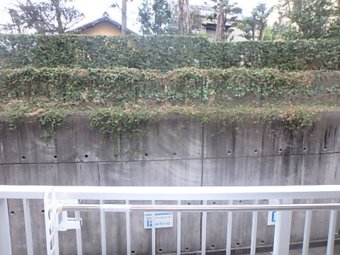 眺望　※写真は他号室です