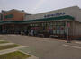 ホームセンター　DCM 川原店（ホームセンター）まで380m