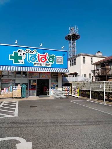 ドラックストア　どらっぐぱぱす世田谷中町店（ドラッグストア）まで267m