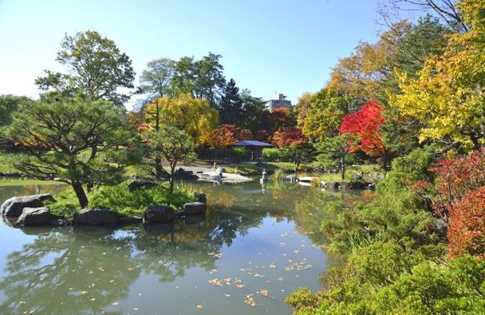 公園　中島公園（公園）まで1340m