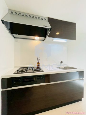 キッチン　同マンション別部屋　参考写真
