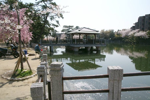 公園　深田池公園（公園）まで332m