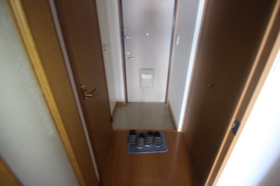 玄関　※別号室の写真となります