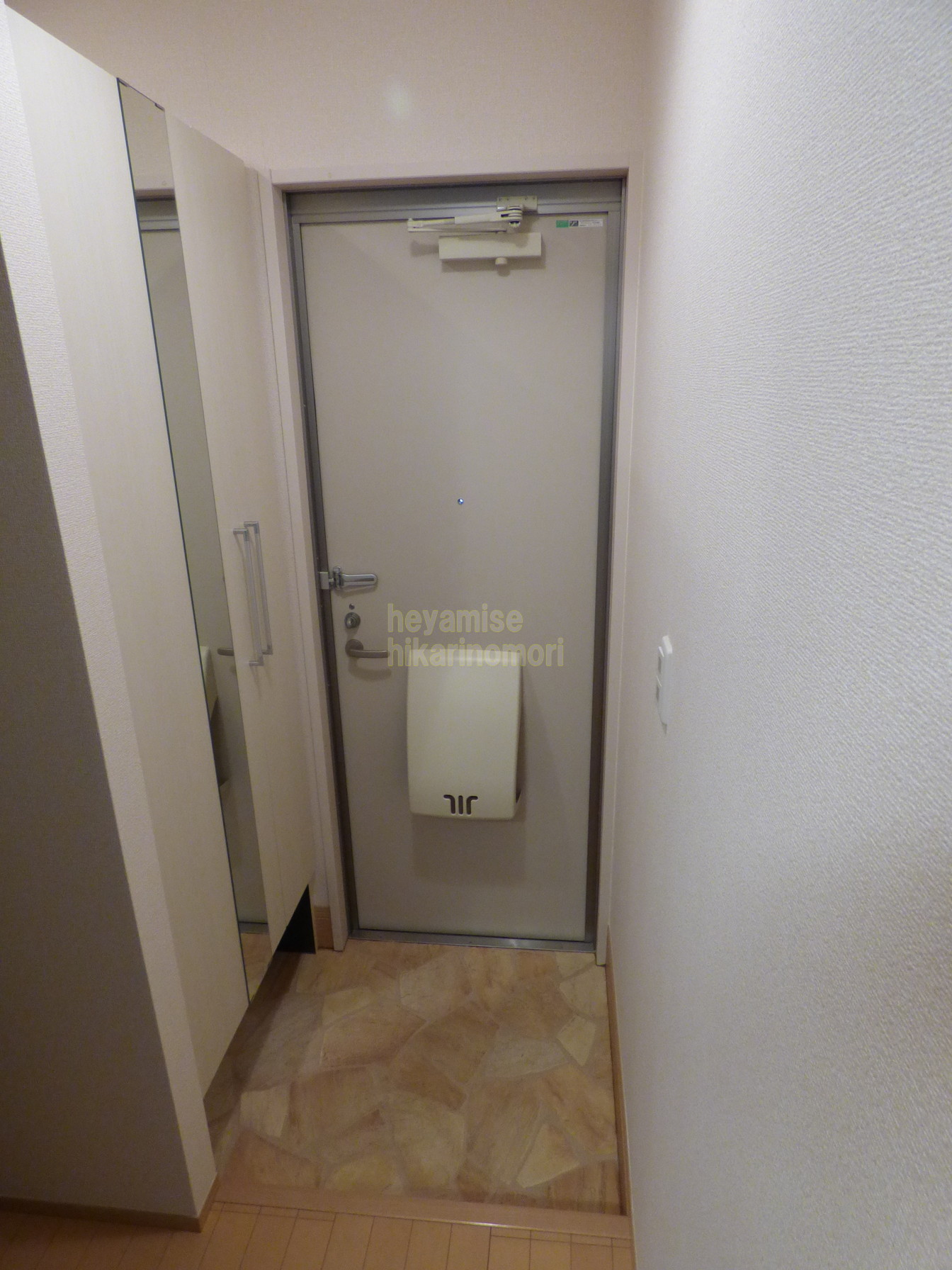 玄関　写真は1階（別号室）