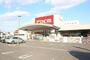ホームセンター　ダイキ豊浜店（ホームセンター）まで1700m