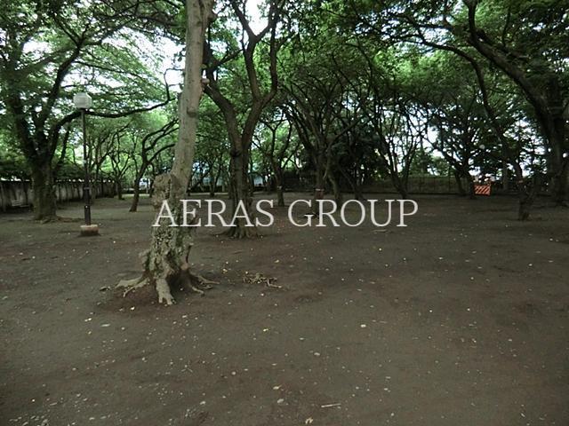 公園　上野毛自然公園（公園）まで486m