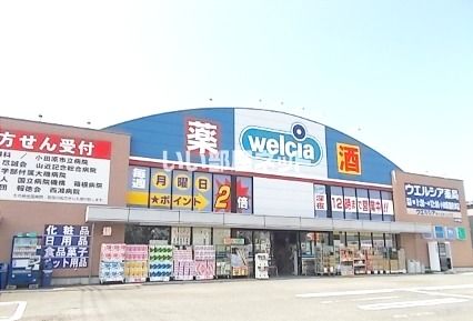 ドラックストア　ウエルシア小田原国府津店（ドラッグストア）まで1684m