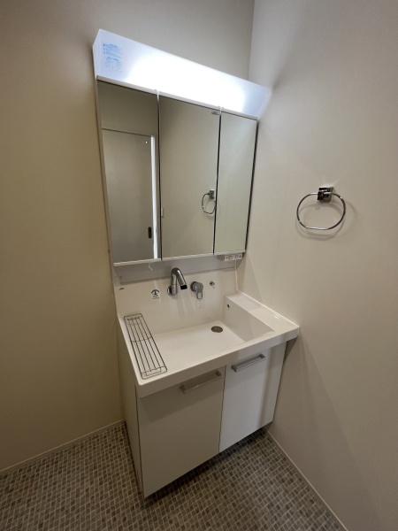 洗面設備　便利なシャンプードレッサー付き