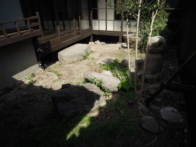 庭