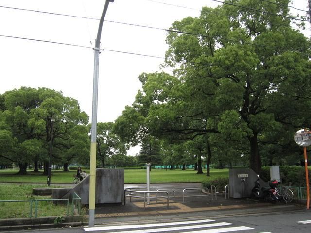 公園　篠崎公園（公園）まで500m