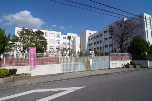 小学校　伊丹市立　鴻池小学校（小学校）まで609m
