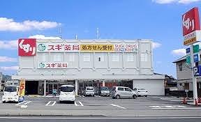 その他　スギドラッグ 姫路御着店  750m