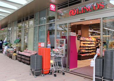 スーパー　リンコス白金ザ・スカイ店（スーパー）まで591m