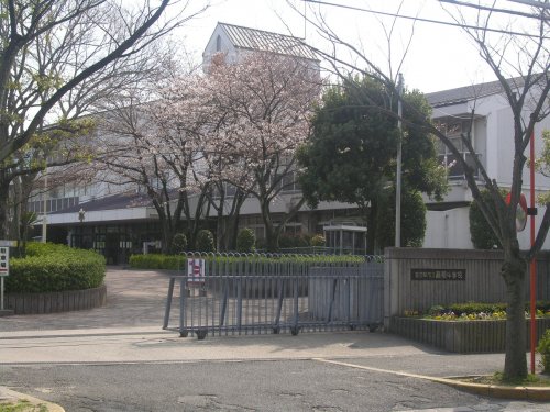 中学校　藤陽中学校（中学校）まで317m