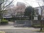 中学校　藤陽中学校（中学校）まで317m