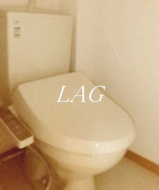 トイレ　トイレです。（同仕様です。）