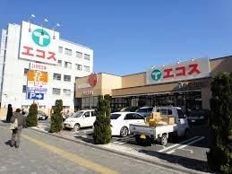 スーパー　エコス大横店（スーパー）まで784m