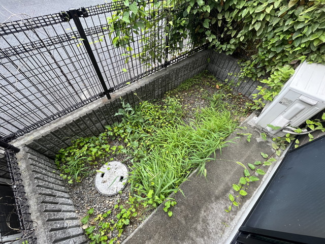 庭
