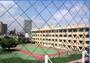 小学校　墨田区立第二寺島小学校（小学校）まで800m