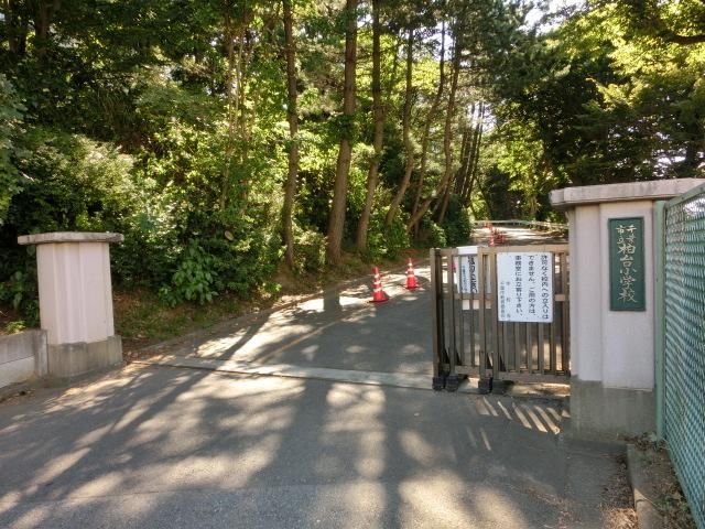 小学校　柏台小学校（小学校）まで200m