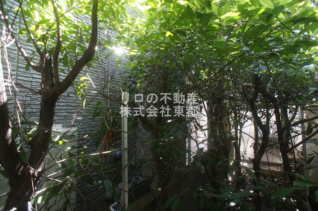 眺望　お部屋前には緑があるので、心癒されますね☆