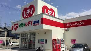 ドラックストア　くすりのレデイフジ井口店（ドラッグストア）まで874m