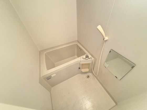 バス・シャワールーム　※別部屋の写真です