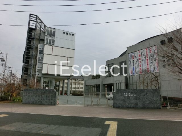 その他　私立敬愛大学（その他）まで330m