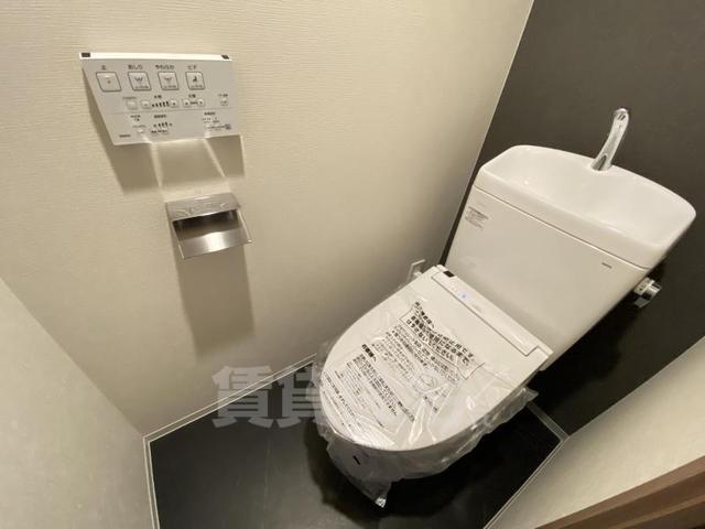 ベラジオ雅び京都七条ウエスト2のトイレ写真