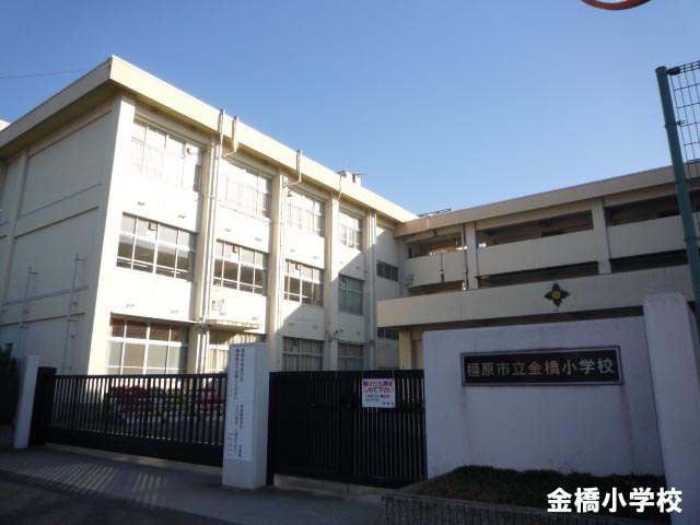小学校　橿原市金橋小学校（小学校）まで527m
