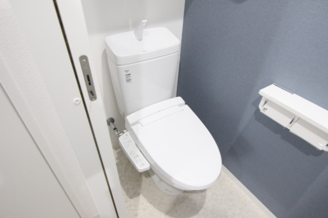 エヌエムスワサントシスのトイレ写真