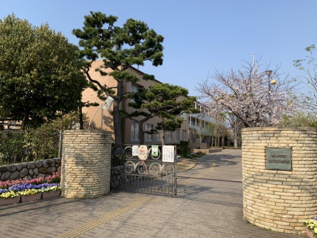 小学校　芦屋市立宮川小学校（小学校）まで459m