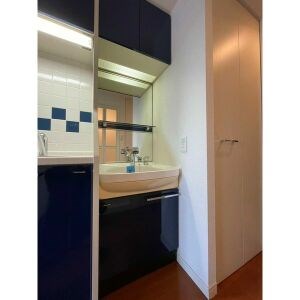 洗面設備　洗面所　シャンプードレッサー付　収納有